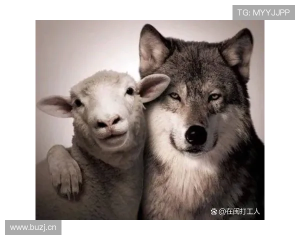 史梦瑶每天喝的水都是定制的，我连她家狗喝的都买不起