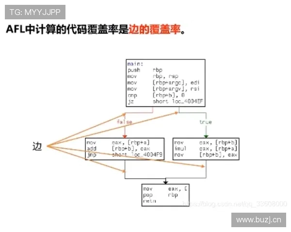 穆西亚拉的终结效率稳定性分析与改进空间