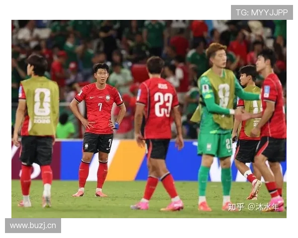 南非小组赛回顾:末轮击败韩国成为关键 南非小组赛回顾:末轮击败韩国成为关键